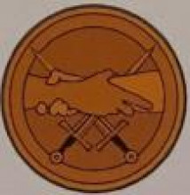 Klopy uniforem i civilního oděvu může honosit i Odznak Vojenského fondu solidarity Klopy uniforem i civilního oděvu může honosit i Odznak Vojenského fondu solidarity